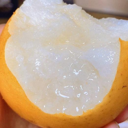 【斌哥优选】秋月梨精选一级果，爆甜、多汁、巨水润！ 吃过它其它梨都入不了你法眼的那种 商品图3