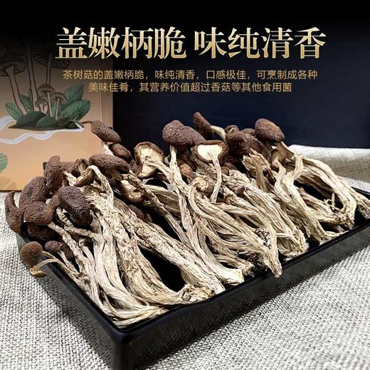 科百佳茶树菇100g（KBJ）（仅限福建省内配送，满400元包邮） 商品图3