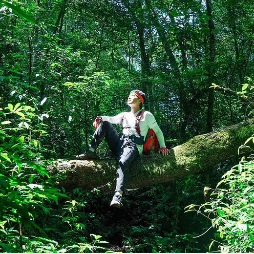 贵州 | 荔波茂兰徒步2天1晚 ，徒步四洞看喀斯特奇观，原始森林穿越看地球最美喀斯特森林 商品图7