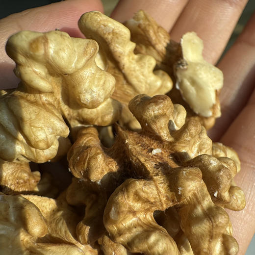 西域美农 新疆纸皮核桃3斤箱装 皮薄易剥 出仁率高。 商品图5