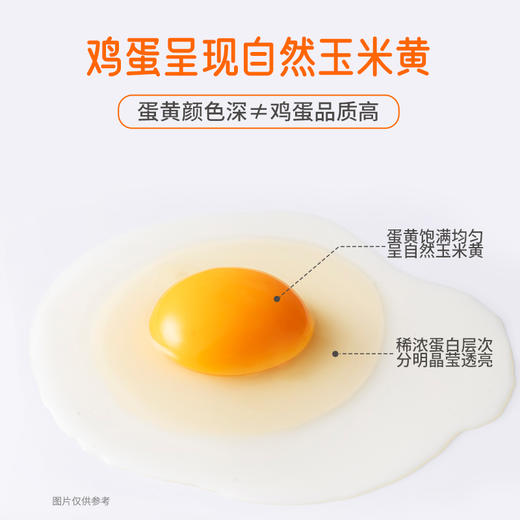 圣迪乐可生食新鲜鸡蛋30枚礼盒装  健康轻食 商品图3