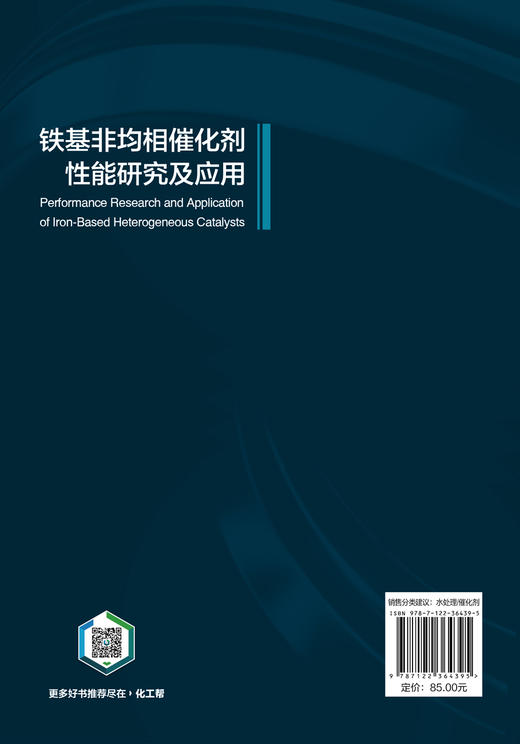 铁基非均相催化剂性能研究及应用 商品图6