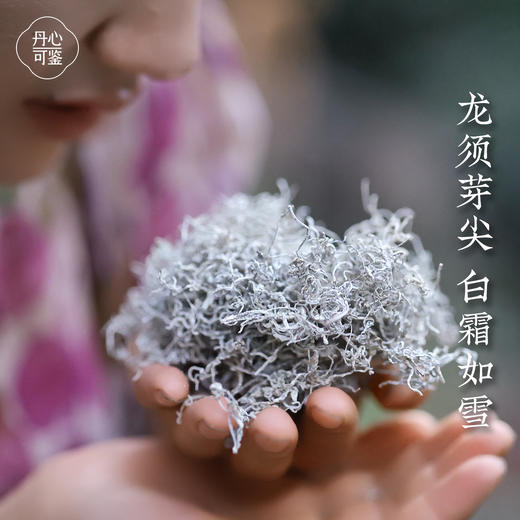 丹心可鉴张家界芽尖莓茶250一罐 商品图1