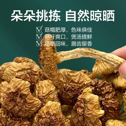 科百佳滑子菇100g（KBJ）（仅限福建省内配送，满400元包邮） 商品图2