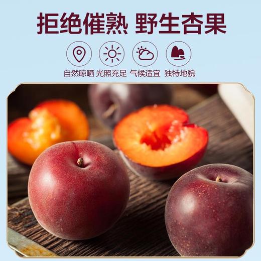 亲彭昊优彭阳黑杏脯188g（KBJ）（仅限福建省内配送，满400元包邮） 商品图3