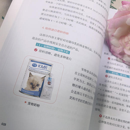 猫咪全阶段科学养护指南 商品图5