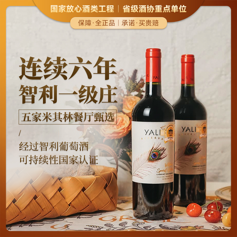 【连续六年智利一级庄】安第斯之翼赤霞珠红葡萄酒 智利