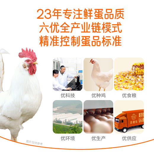 圣迪乐可生食新鲜鸡蛋30枚礼盒装  健康轻食 商品图4