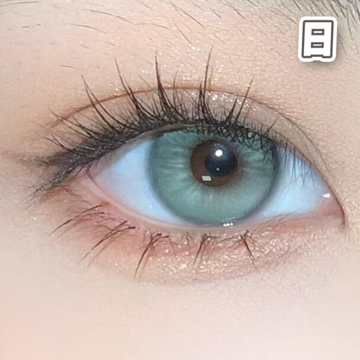 Apex#green 莱琳青灰 绿灰色 14.2mm 基弧8.7【10片装】进口日抛 商品图2