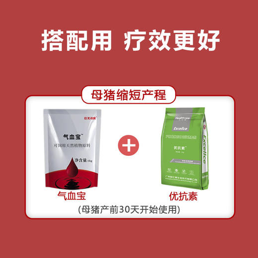 【气血宝】巨龙补中益气散气血宝1公斤 补气补血缩短产程 商品图4