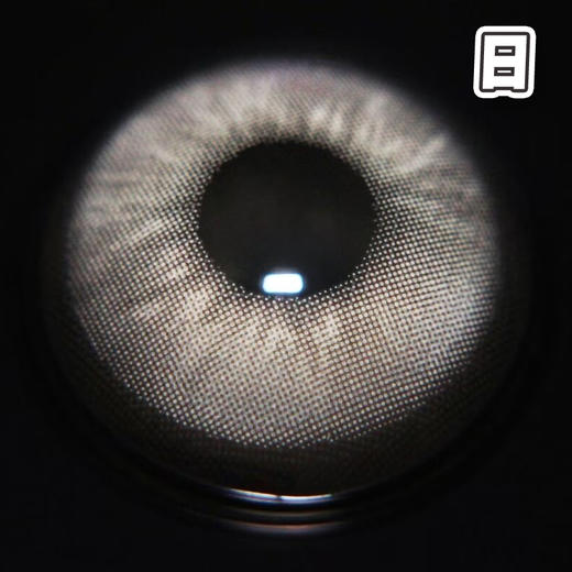 Apex#gray 耶稣纯灰 14.2mm 基弧8.7【10片装】进口日抛 商品图4