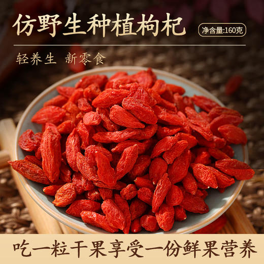 零化仿野生枸杞冻干枸杞精品大颗粒泡水营养泡茶新货 商品图0