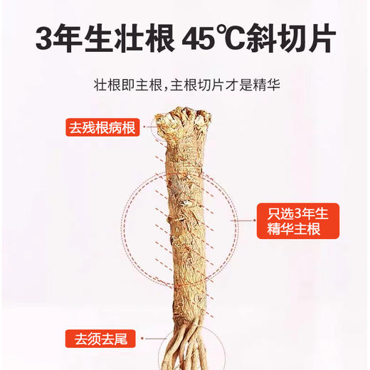 科百佳黄芪200g（KBJ）（仅限福建省内配送，满400元包邮） 商品图2
