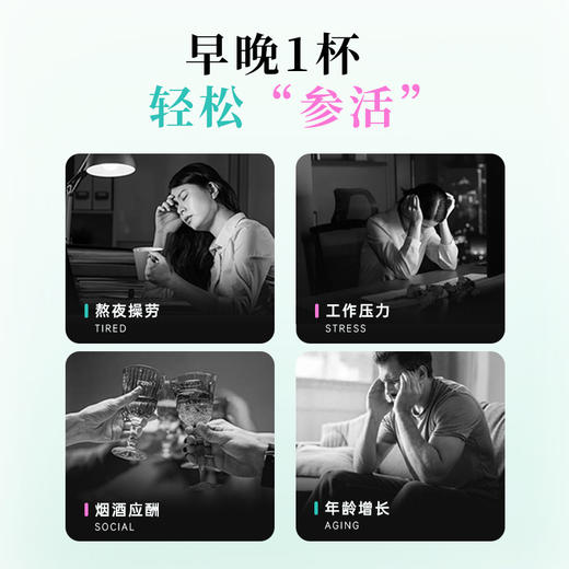 滋时早安+晚安人参粉饮组合F 商品图5