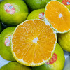 秋天的滋味，高山红土蜜桔🍊每次回味的果香都让人沉醉，悄悄地把秋日都融化在其中。不单送。 商品缩略图7