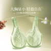 【积分兑换】奶糖派花藤大胸显小全罩杯超薄透气文胸性感蕾丝法式深V内衣女夏 商品缩略图3