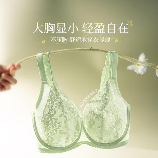 【积分兑换】奶糖派花藤大胸显小全罩杯超薄透气文胸性感蕾丝法式深V内衣女夏 商品图3