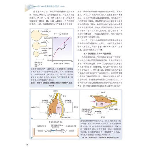 Nunn和Lumb应用呼吸生理学 第9版 张骅 刘岗 医药卫生书籍 介入性肺病学 科学技术文献出版社9787523514382 商品图2