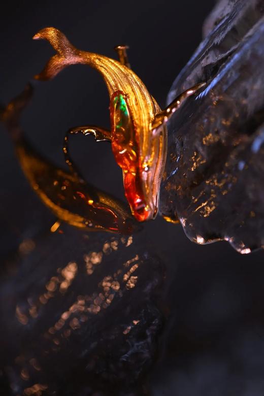 鲸之三色 商品图3