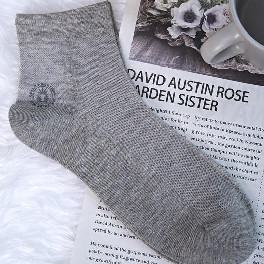 女【2双装 6双6折】丨女士丝袜中短筒袜网面春秋袜子女袜休闲袜【2412202】 商品图2