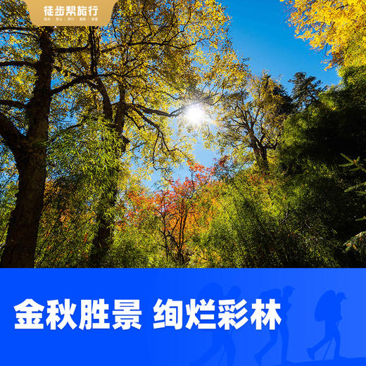 第一届 梅里北坡金秋徒步节 38公里轻装徒步 7日 商品图1