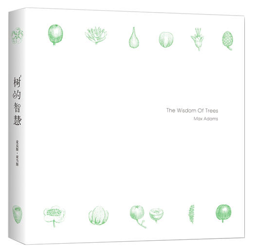 树的智慧（英）麦克斯·亚当斯 著 约翰·伊夫林 绘 商品图1