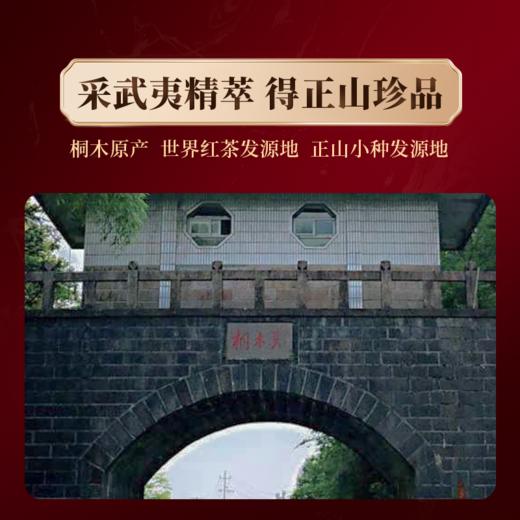 【分销】岩初韵正山小种 甜香丰富茶悦生活，精巧泡袋随身更随心，桐木原产，世界红茶发源地，正山小种发源地 商品图4