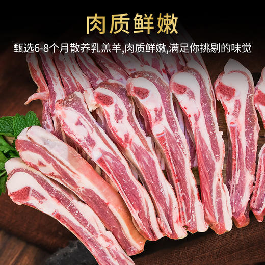 优选|草原手把羊排 精华部位 肉质柔软弾嫩 香浓不膻 肥痩相间 1.5kg 商品图1
