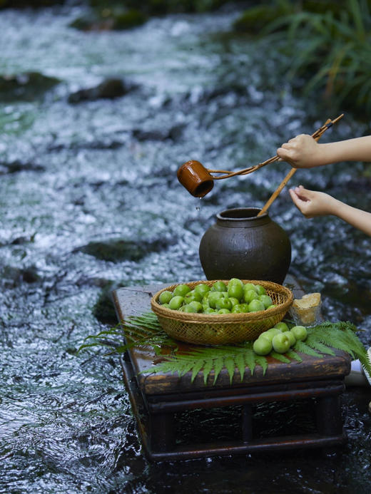 马克龙访华宴会同厂深夜小酒馆～“雪山限定优梅说”💰65体验微醺与自由  ✅三年一酿，实属稀缺  ✅纯自然发酵，零添加，青梅用料比水多  ✅多家五星级酒店及米其林餐厅定制酒 商品图2