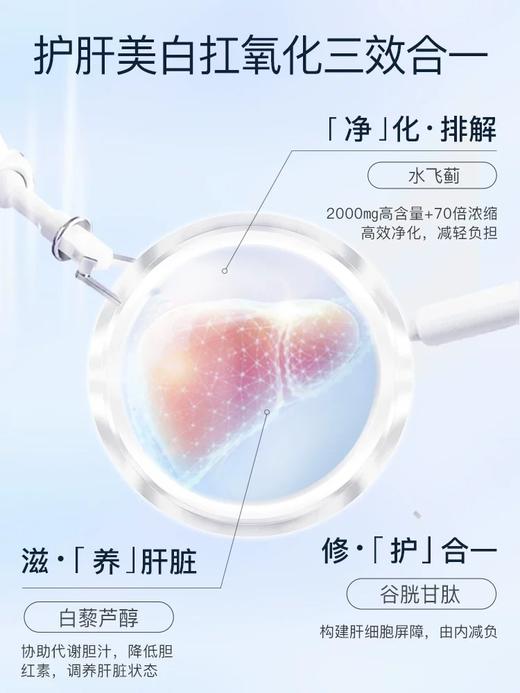 【herbsofgold】和丽康女性水飞蓟护肝片 商品图3