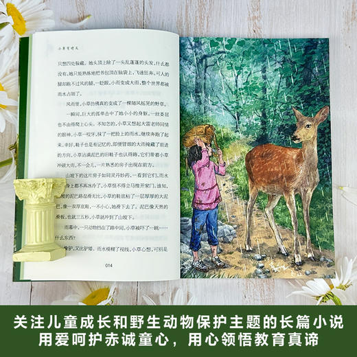 当松鼠从天而降   小草有晴天   百千61期四年级共读书两本套装4年级正版现货速发 商品图4