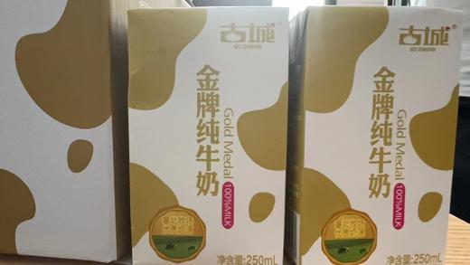 古城金牌纯牛奶 商品图3