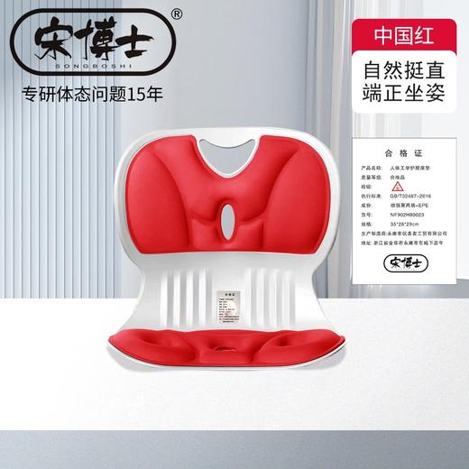 宋博士【人体工学护腰坐垫】久坐不累护腰坐垫舒缓腰部减压坐姿椅（亲子款） 商品图7