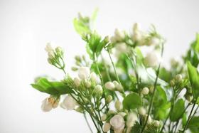  师恩似海深，写给我生命中的恩师们 