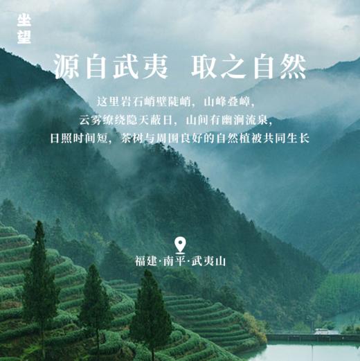 【分销】岩初韵正岩肉桂 源自武夷，取之自然，武夷原产轴心产区，六泡不失味，其韵自然幽，东方茶礼，送人佳品 商品图2