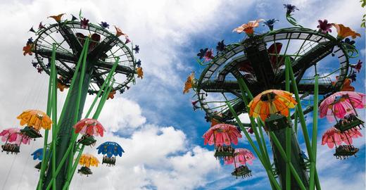 【珠海长隆臻享导览私家团】全天向导陪玩不限时+私人专属旅拍+快速通手环18项快趣达|管家式一对一服务|园区消费8折+官方酒店优惠代订+配童车（不含长隆门票） 商品图8