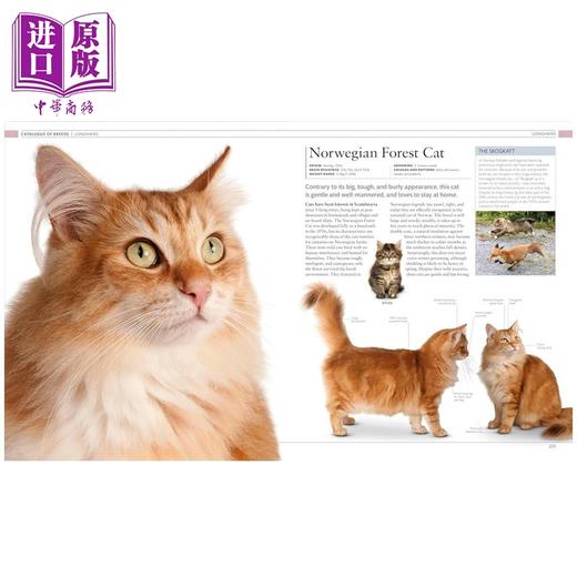 预售 [英文原版]The Cat Encyclopedia 商品图4