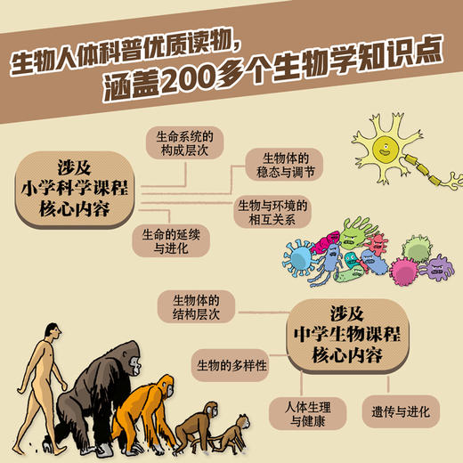 好玩的生物·人体 6岁+  8册 商品图5