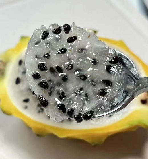 【飞马牌燕窝果 】
纯甜口感 营养丰富、功能独特
它含有一般植物少有的植物性白蛋白及花青素，丰富的维生素和水溶性膳纤维 适合任何人，对美容养颜特别有帮助💯 商品图0