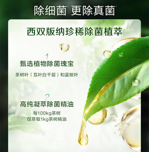 立白卫仕天然除菌洗衣液(青翠茶园)2.88千克 商品图3