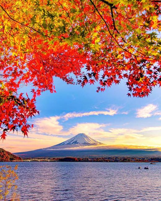 【境外】【秋意本州】日本东京+大阪+京都7天6晚 商品图0