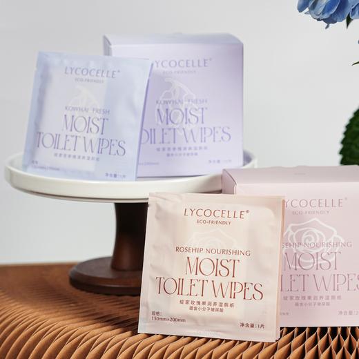 Lycocelle绽家 湿厕纸抑菌清洁便捷小包 商品图0