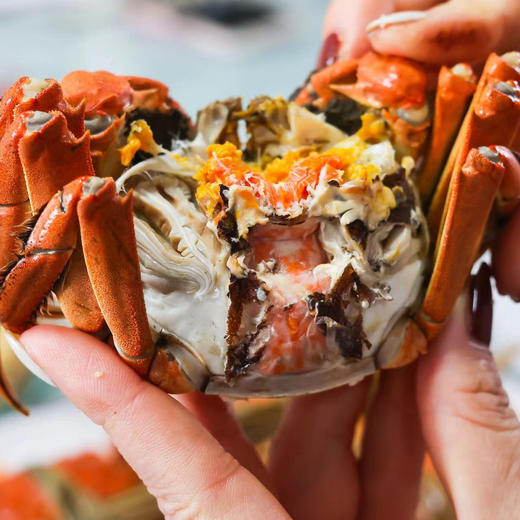 卜鲜季大闸蟹 蟹卡精心挑选 感蟹有你 商品图5