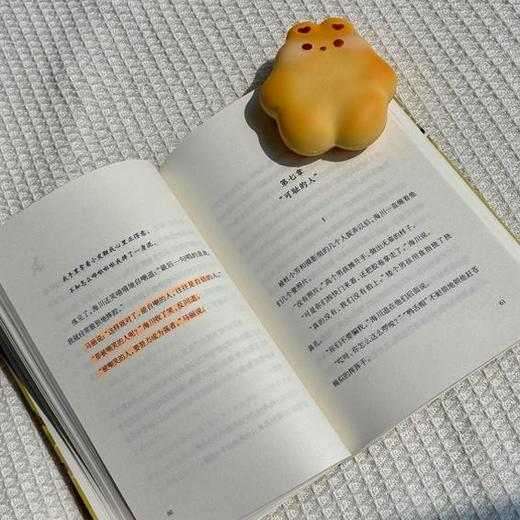 《少年仰起他的脸》 商品图2