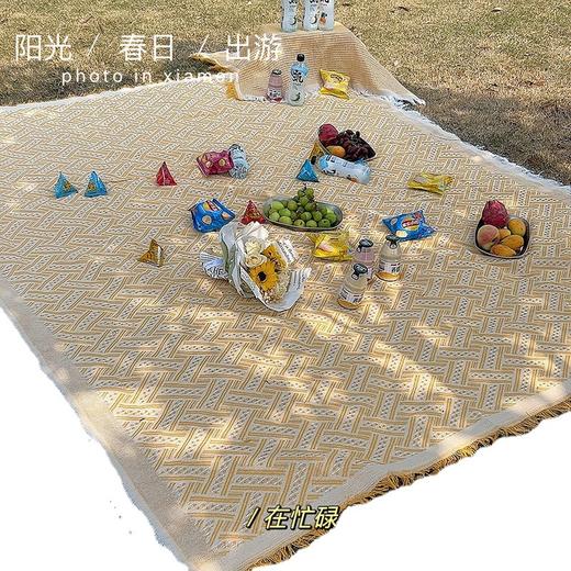 ins风户外野餐垫 公园地垫 春游草坪野餐桌布 露营郊游便携野炊地垫 国庆出游必备 商品图4
