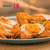 阳澄湖大闸蟹(蟹卡) | 生态养殖 | 膏满肉鲜*Yangcheng Lake hairy crab 商品缩略图2