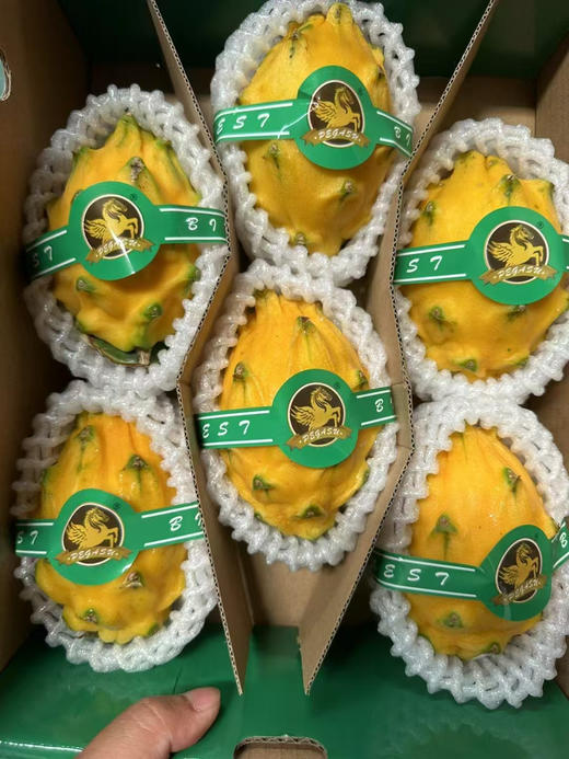 【飞马牌燕窝果 】
纯甜口感 营养丰富、功能独特
它含有一般植物少有的植物性白蛋白及花青素，丰富的维生素和水溶性膳纤维 适合任何人，对美容养颜特别有帮助💯 商品图3