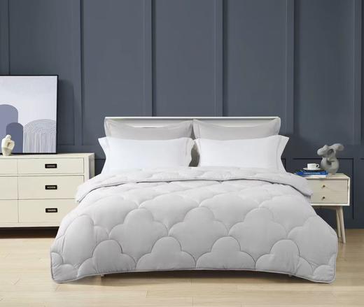 梦洁vc纤维被 商品图0