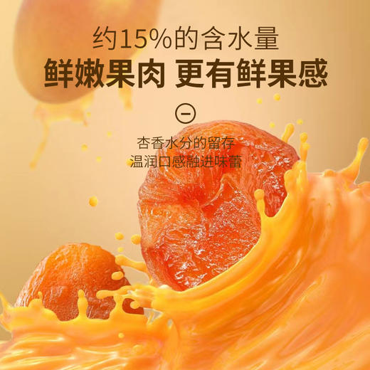 西夏至臻无核杏干108G（KBJ）（仅限福建省内配送，满400元包邮） 商品图2