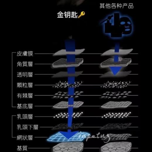 【会员专享】🔥🔥露千儿金钥匙青春细胞启动液100ml 商品图2
